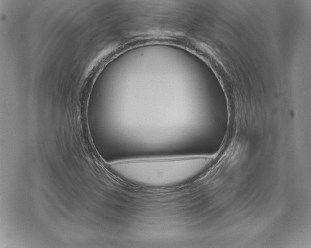 X0000073911307200608110930