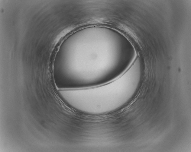 X0000073911308200608110930