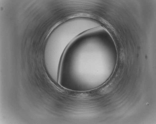 X0000073911321200608110930