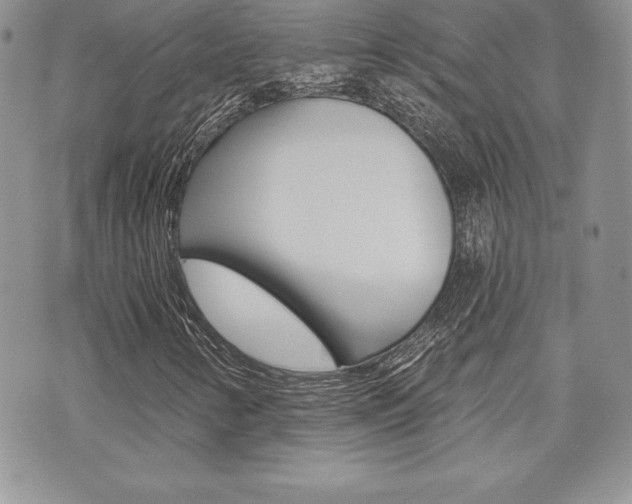 X0000073911346200608110930