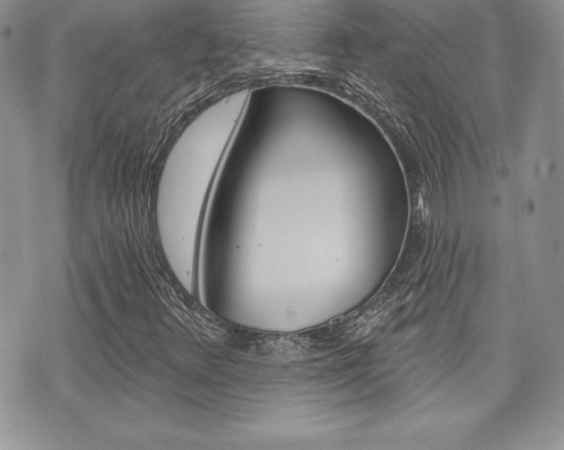 X0000073911348200608110930