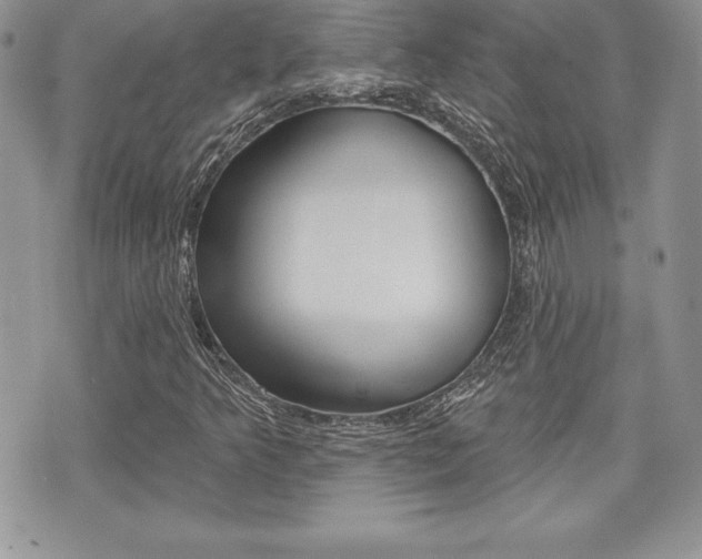 X0000073911349200608110930