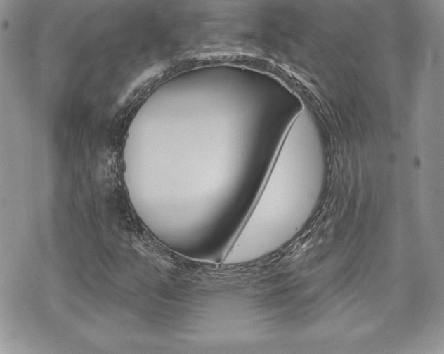 X0000073911351200608110930