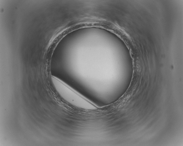 X0000073911352200608110930