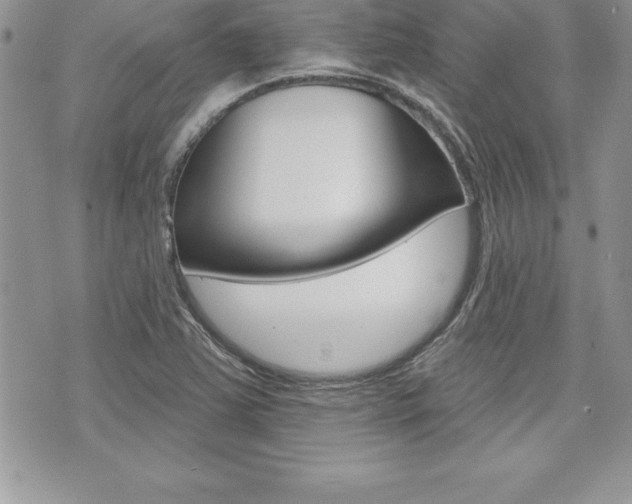 X0000073911363200608110929