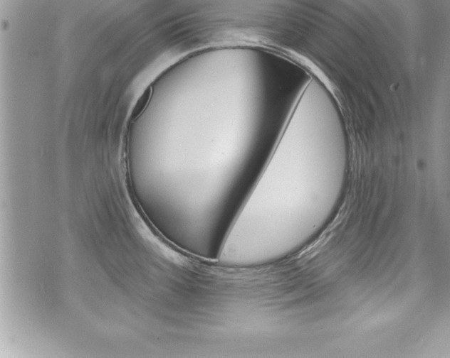 X0000073911387200608110929