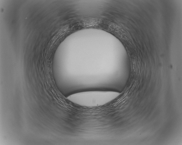 X0000073911393200608110928