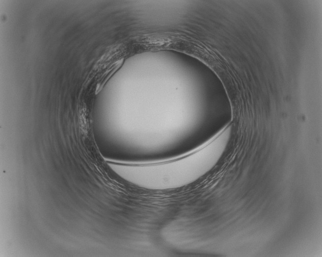 X0000073911394200608110928