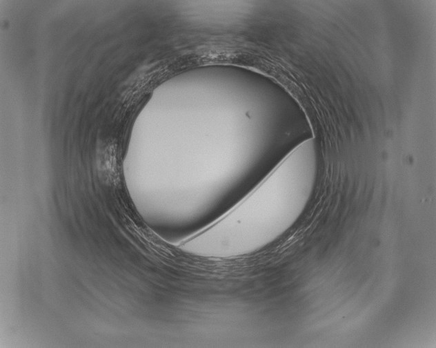 X0000073911396200608110928