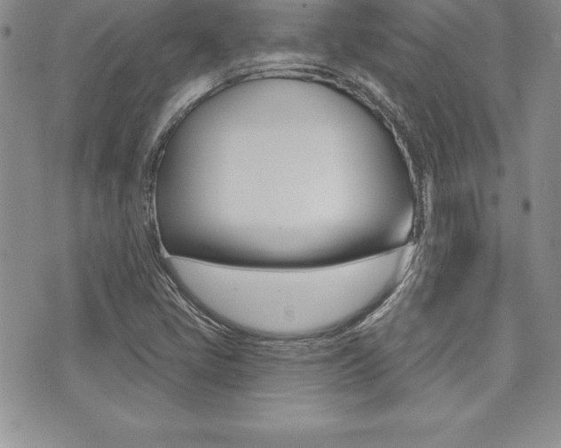 X0000073911405200608110928