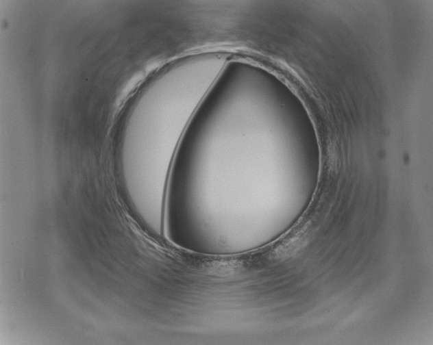 X0000073911406200608110928