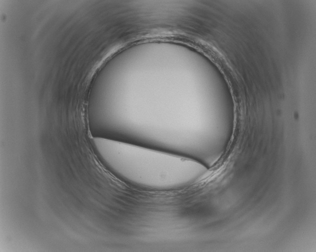X0000073911409200608110928