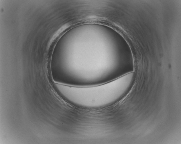 X0000073911410200608110928