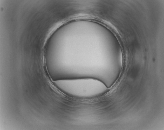 X0000073911413200608110929