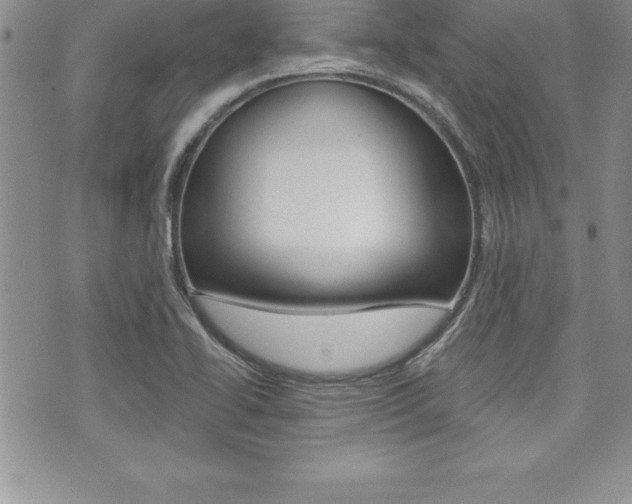 X0000073911414200608110929