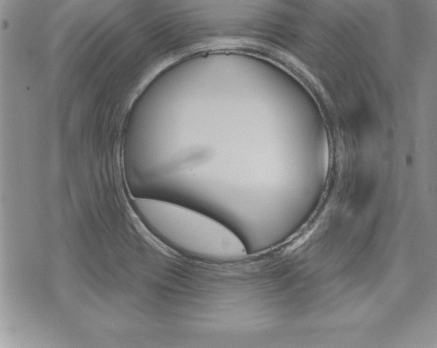 X0000073911417200608110929
