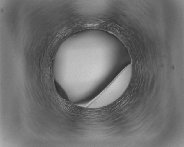 X0000073911441200608110928