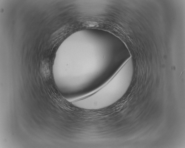 X0000073911442200608110928