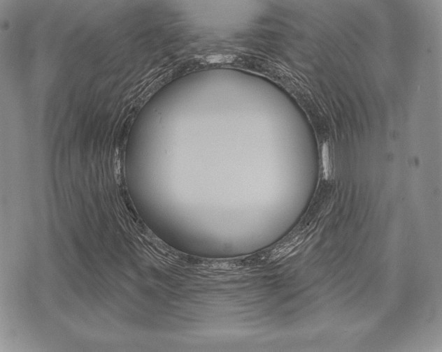 X0000073911443200608110928