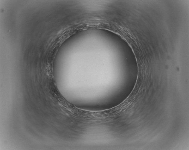 X0000073911445200608110928