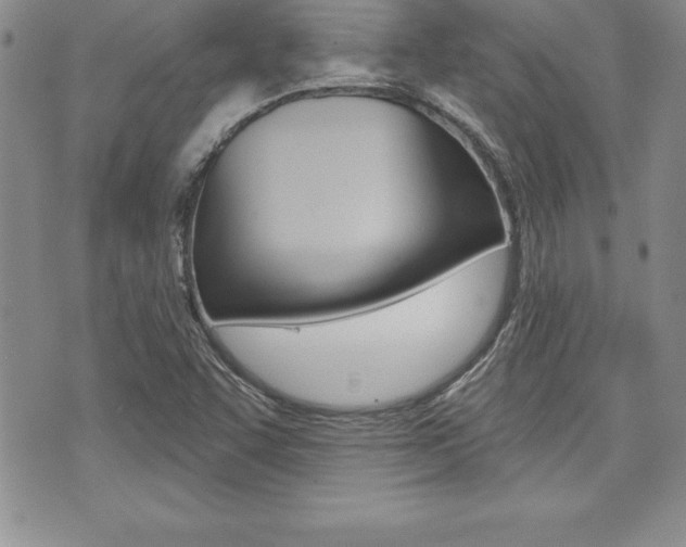 X0000073911455200608110928
