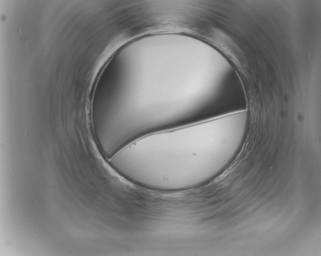 X0000073911484200608110927