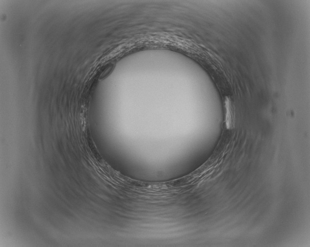 X0000073911491200608110927