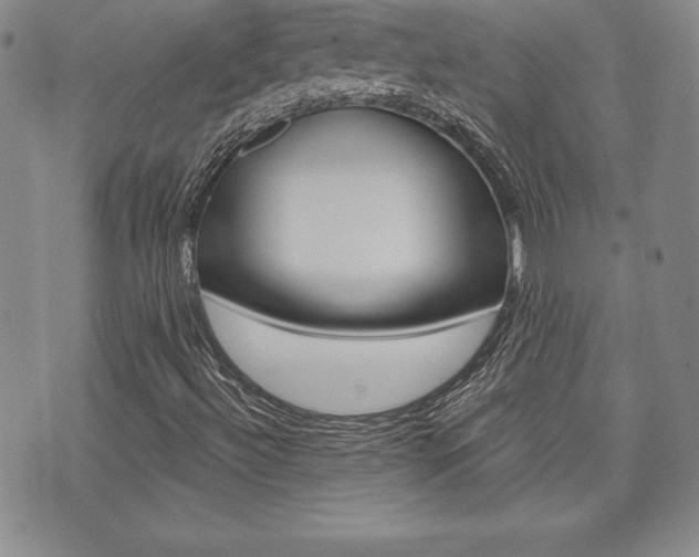 X0000073911492200608110927