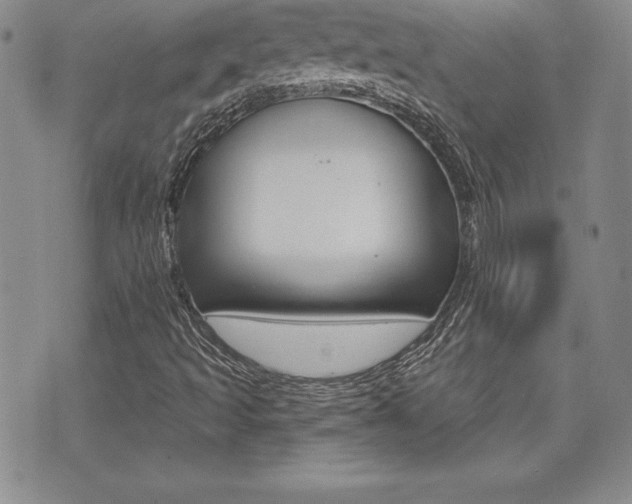 X0000073911493200608110927