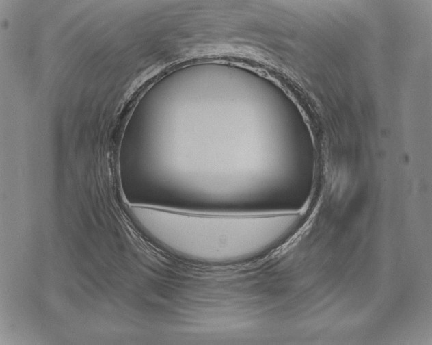 X0000073911497200608110927