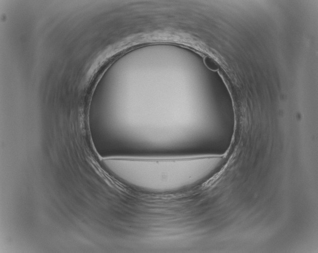 X0000073911499200608110927