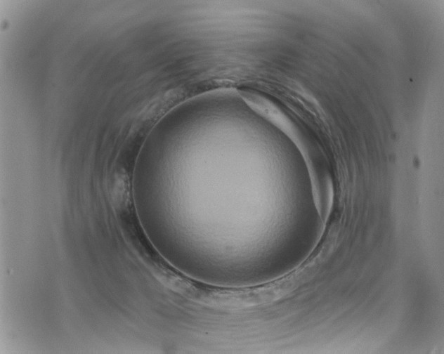 X0000073910029200608111208