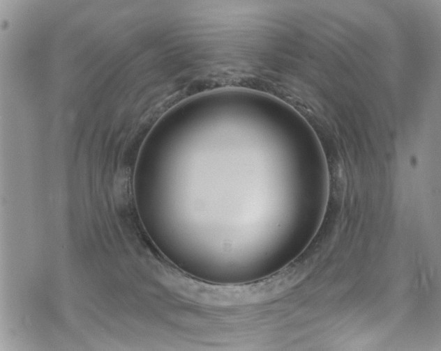 X0000073910034200608111208