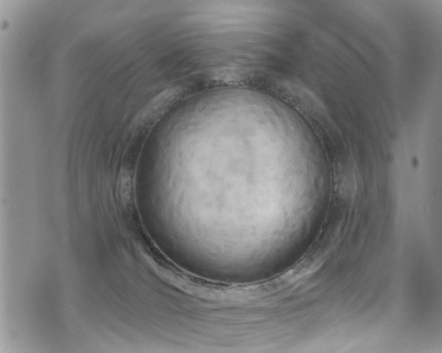 X0000073910036200608111208
