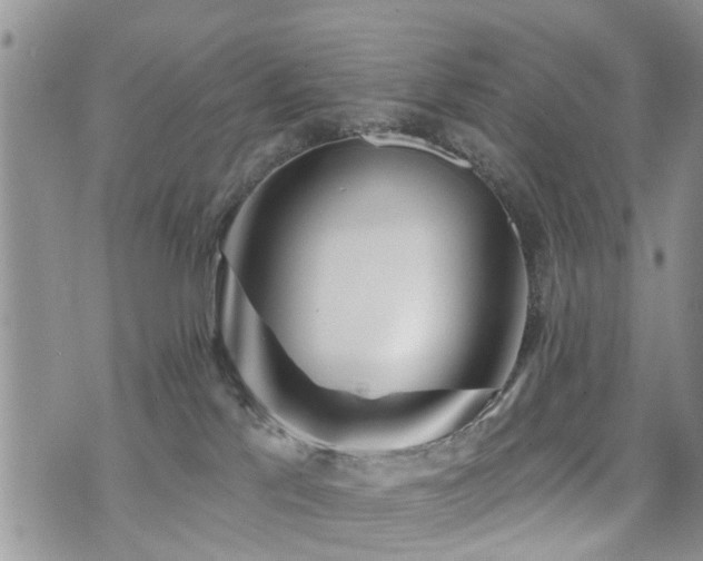 X0000073910041200608111208