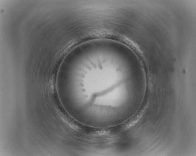 X0000073910065200608111208