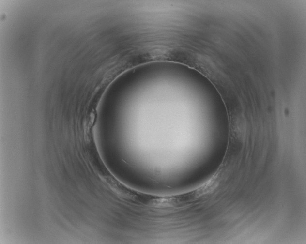 X0000073910082200608111208