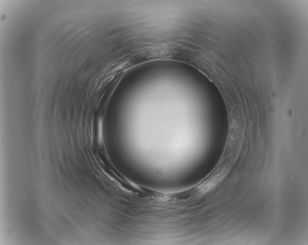 X0000073910096200608111208