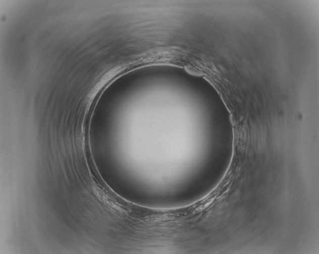 X0000073910100200608111207