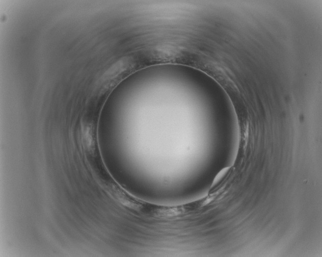 X0000073910131200608111207