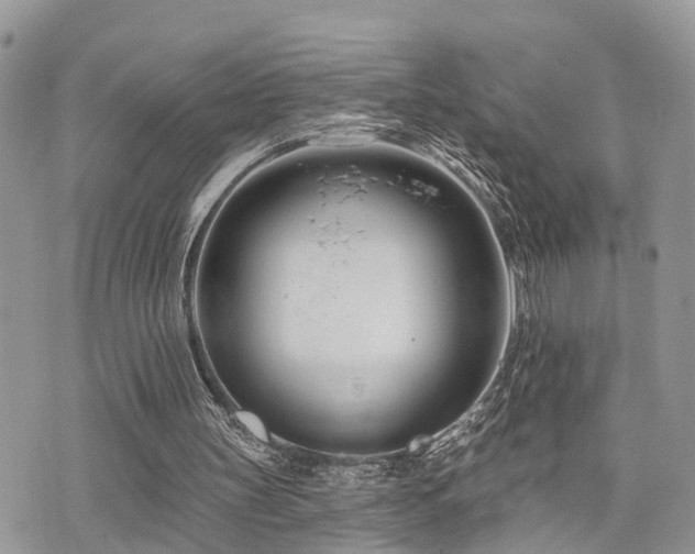 X0000073910147200608111206