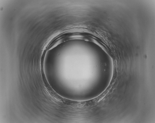 X0000073910148200608111206