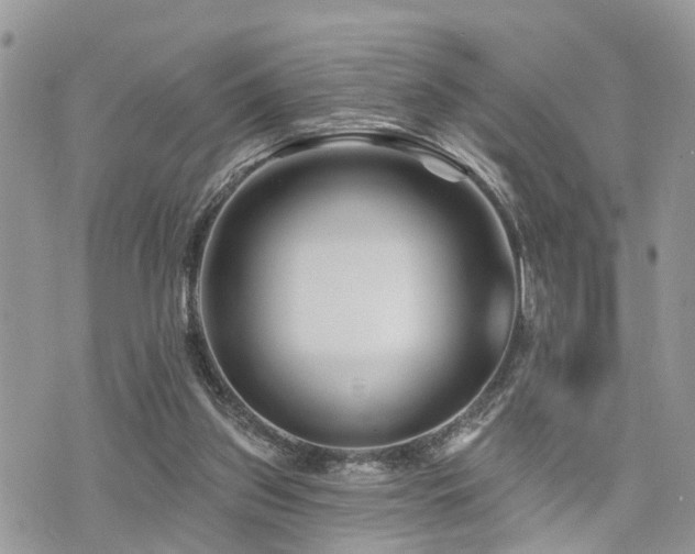 X0000073910157200608111206