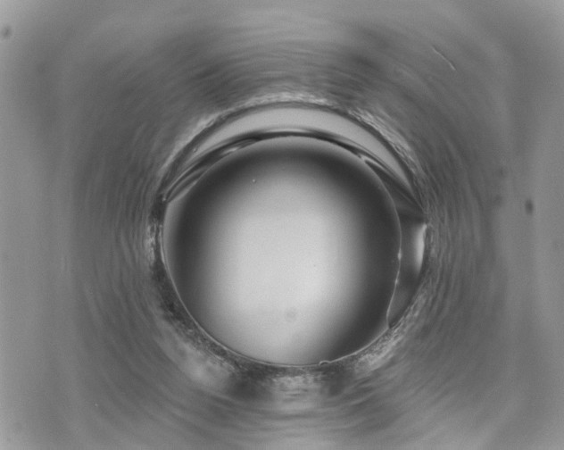 X0000073910160200608111206