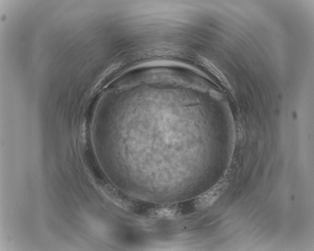 X0000073910163200608111206