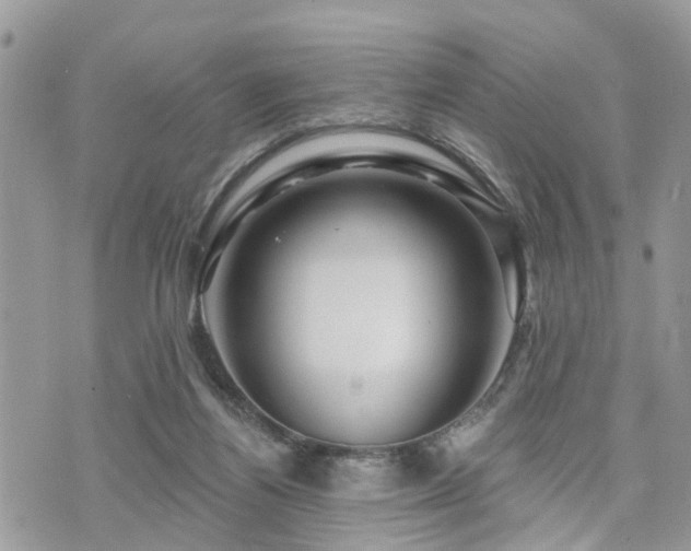 X0000073910164200608111206