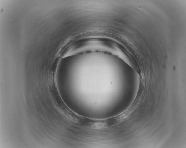 X0000073910168200608111206