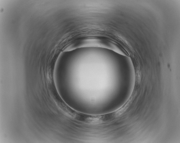 X0000073910170200608111206