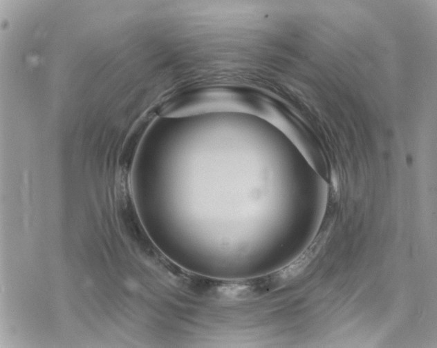 X0000073910172200608111206