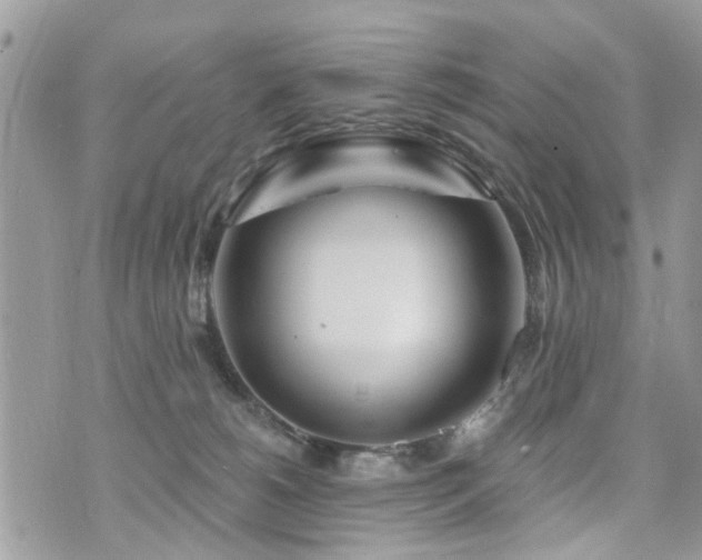 X0000073910180200608111206